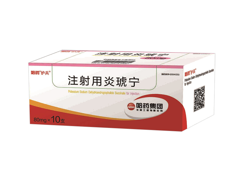 ע����������