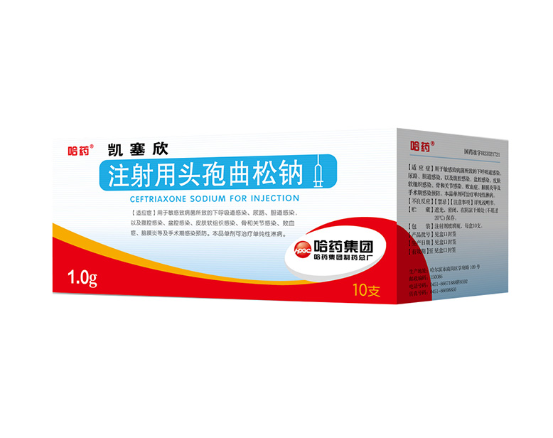 ע����ͷ��������