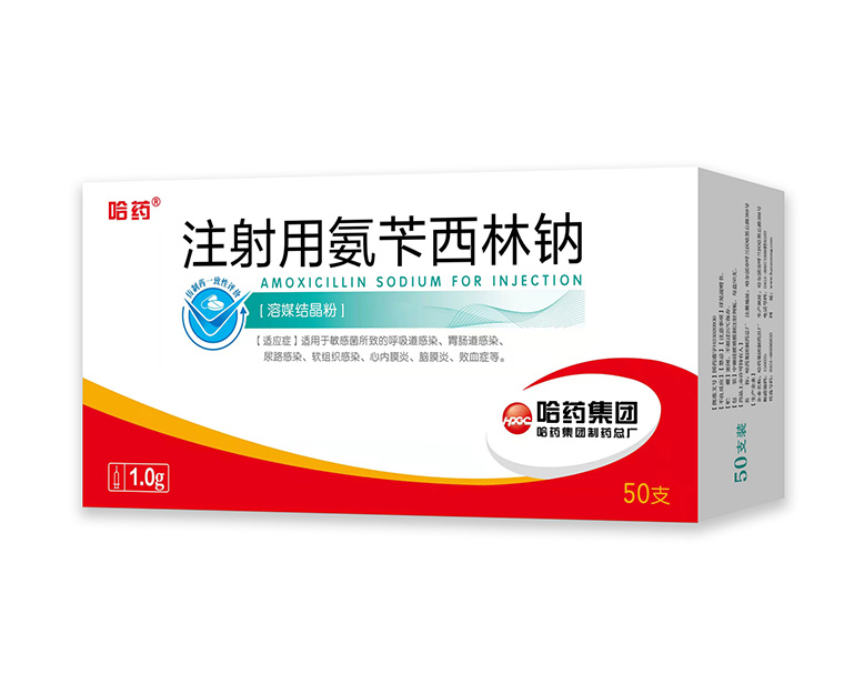 ע���ð���������