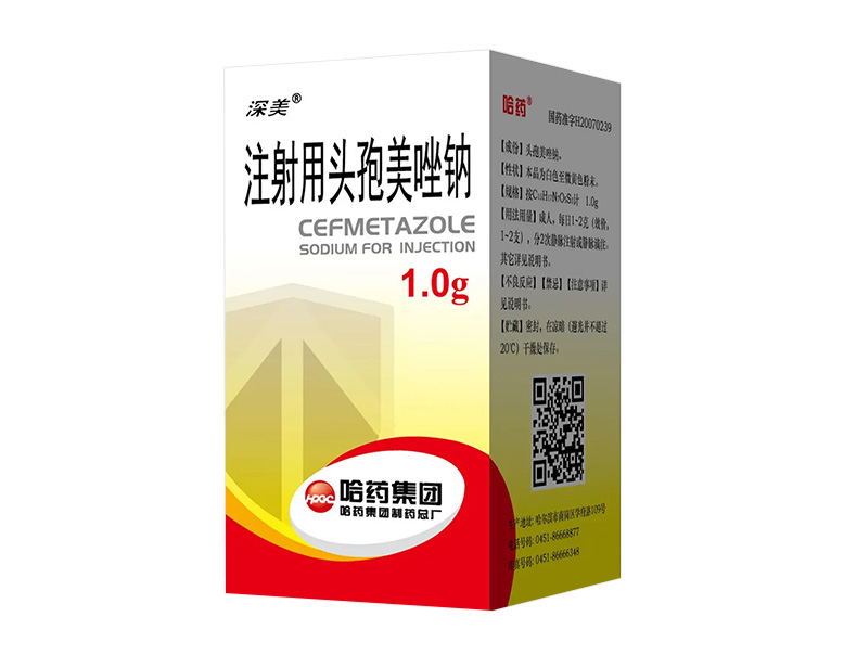 ע����ͷ��������