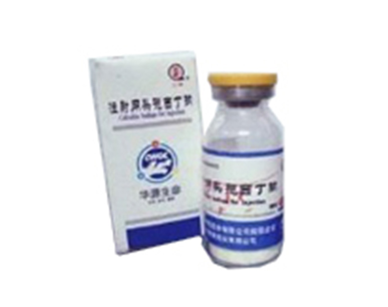 ע����ͷ��������