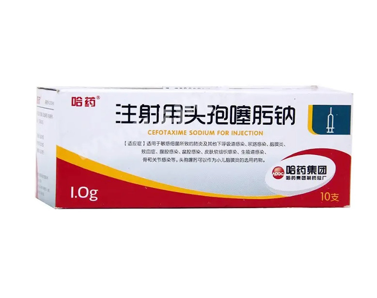 ע����ͷ�������