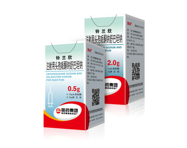 ע����ͷ����ͪ�����̹��