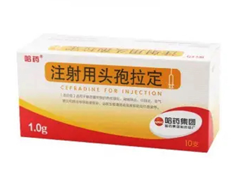 ע����ͷ������