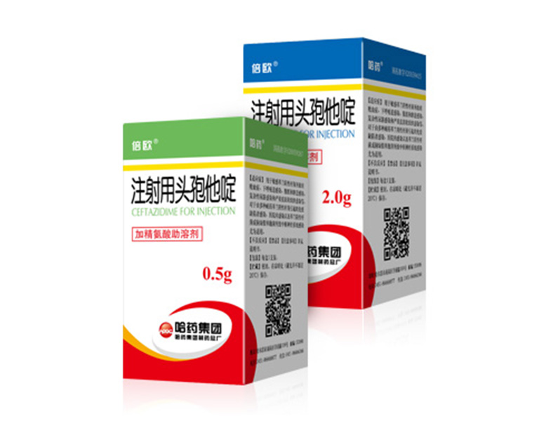 ע����ͷ�����