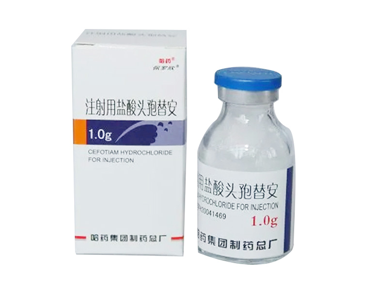 ע��������ͷ���氲