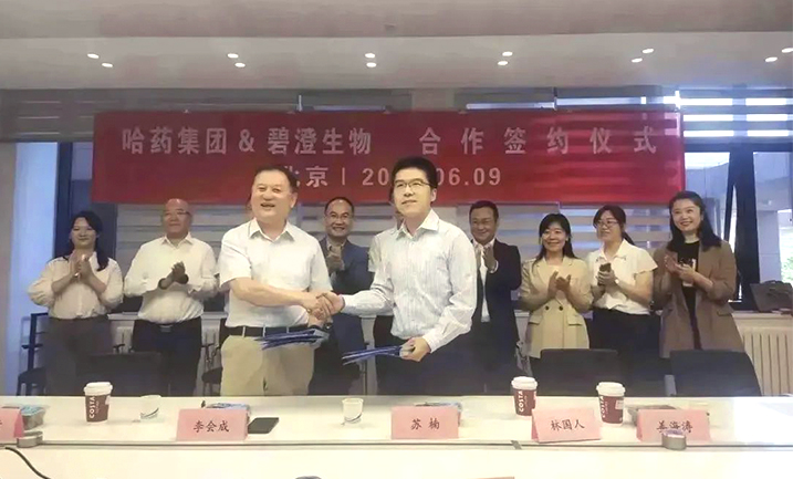 ��ҩЯ���廪��ѧ��������������ǿǿ�ŽṲ����ԭ�Ѱ���ҵδ��