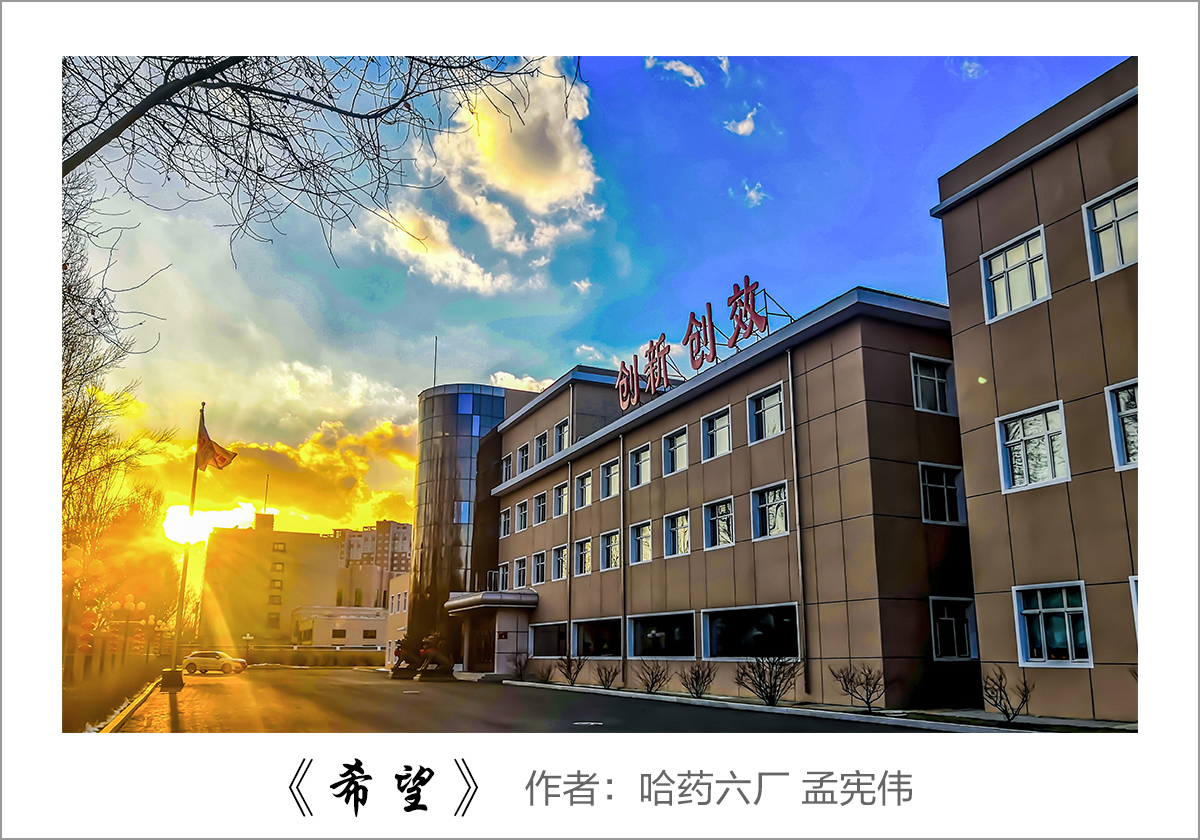 ��ӭ���� չ�緶�������еĹ�ҩ&mdash;&mdash;ְ����Ӱ������Ʒչʾ��